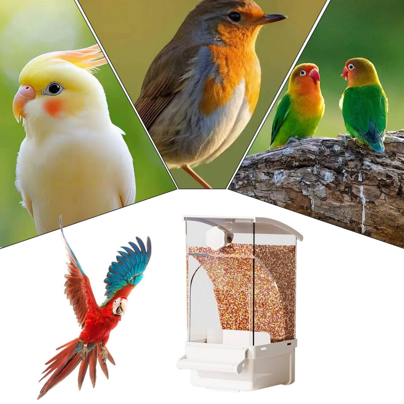 Pet Supplies In - Comedouro Automático para Aves com Separação