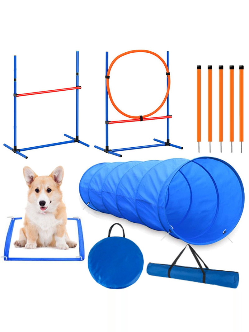 Acórios para Treinamento de Ob - Pet Supplies In avaliação e preço