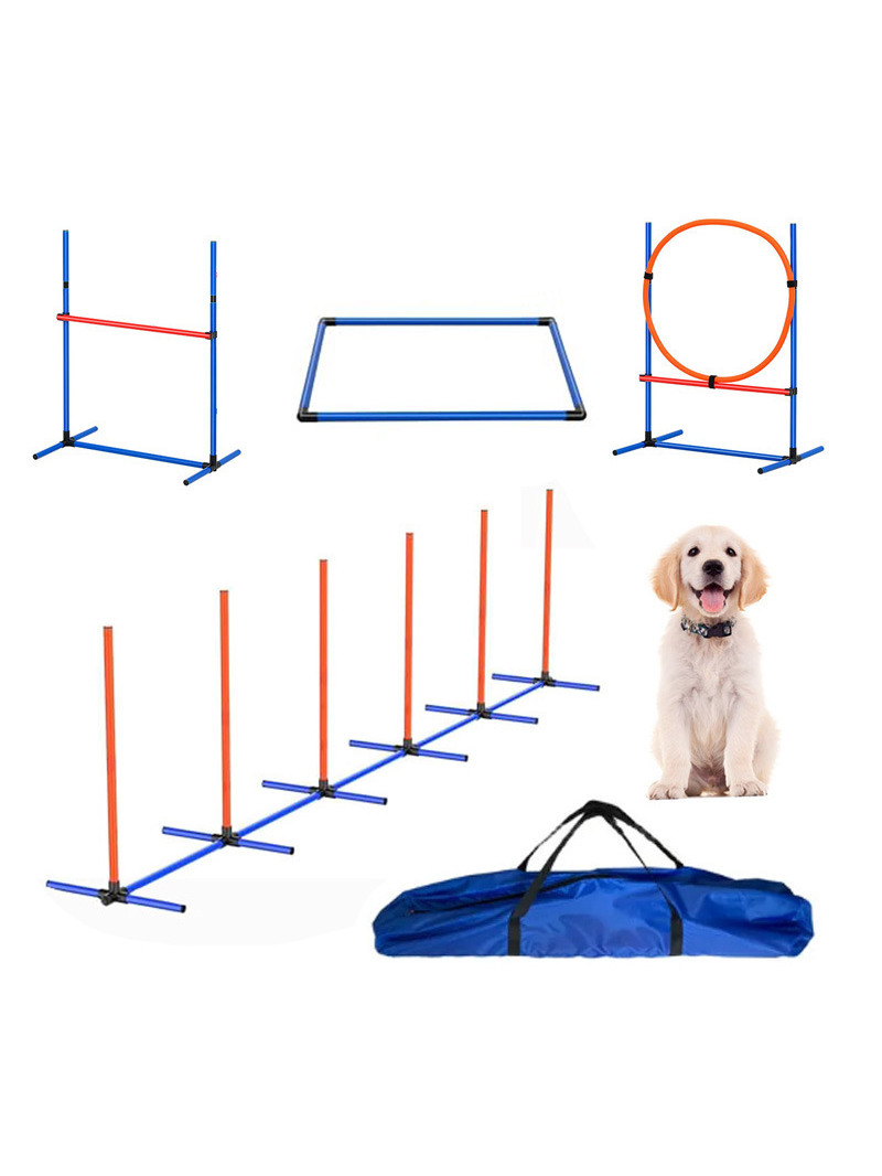 Acórios para Treinamento de Ob - Pet Supplies In avaliação e preço