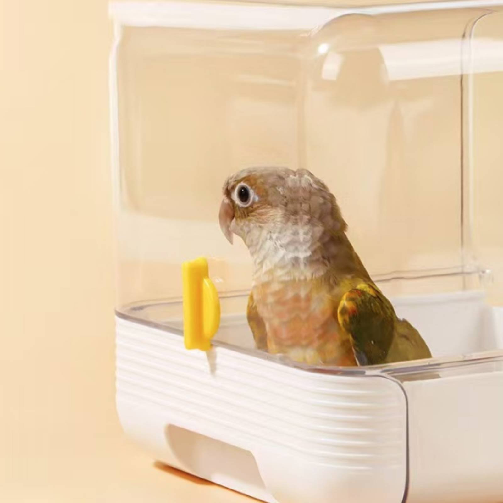 Banheira Multifuncional para P - Pet Supplies In avaliação e preço